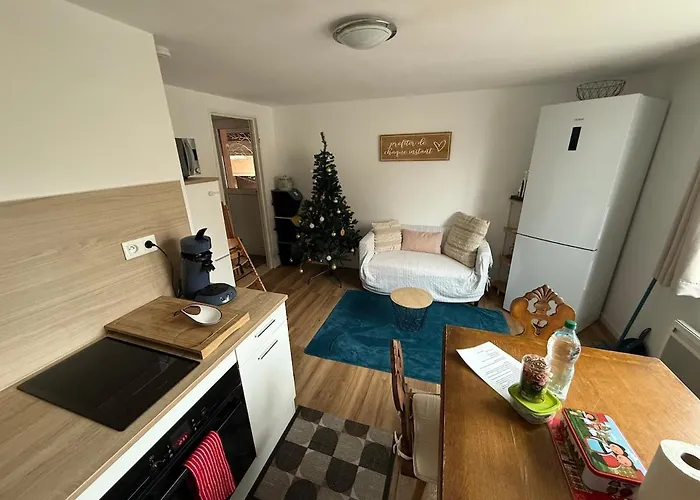 Maison Atypique Alsacienne * Kintzheim